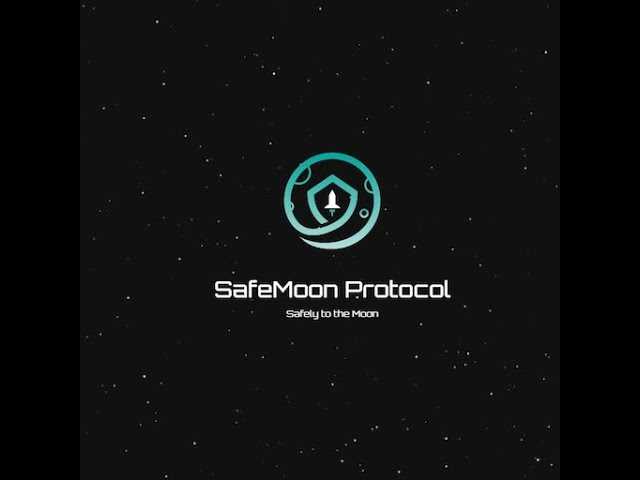 Section 2: Safe Moon Investments