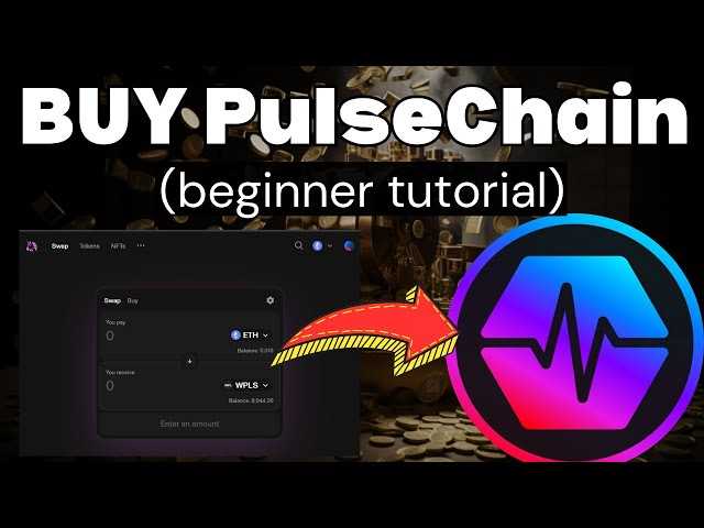 Beginner's Guide to Buying Pulse Chain on MetaMask