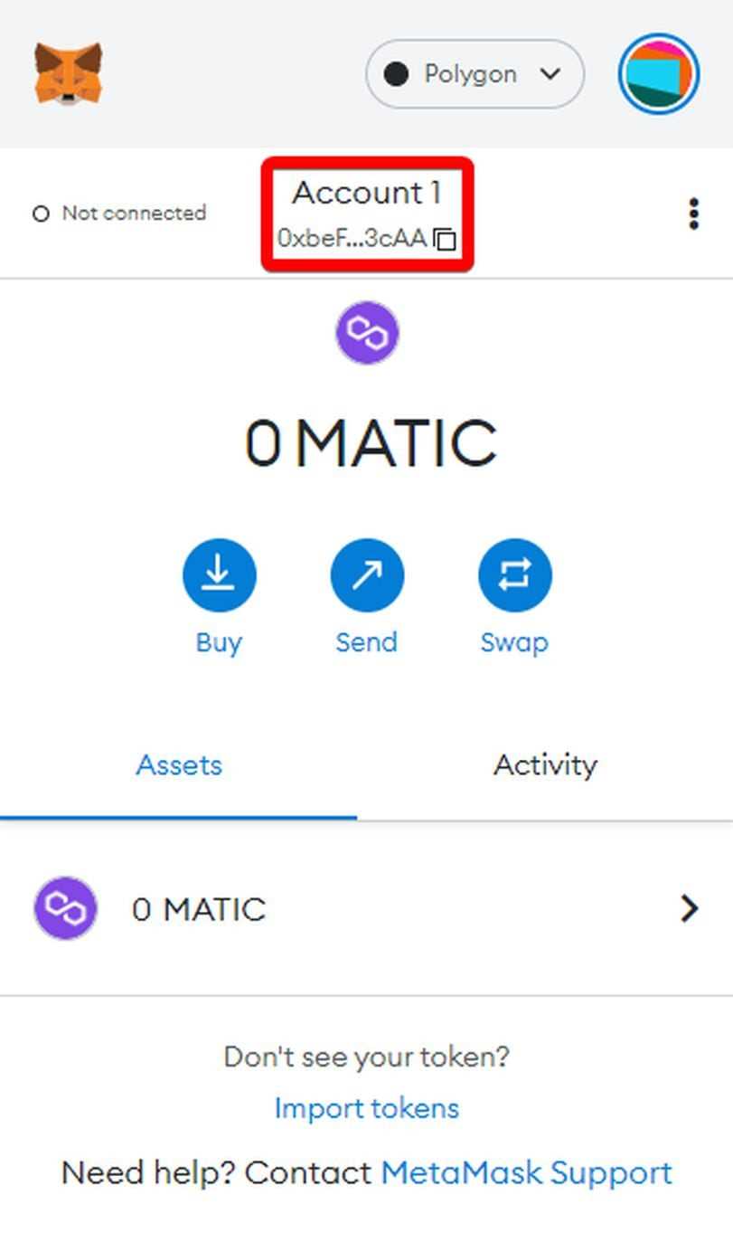 3. Switch to the Matic Network
