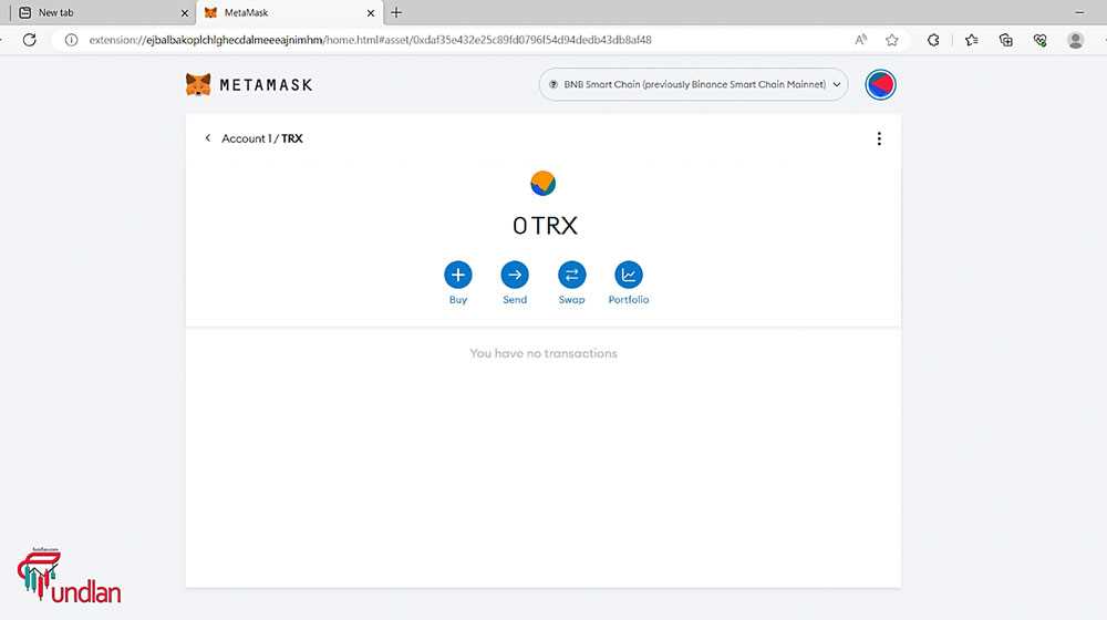 How to Add TRC20 Support to MetaMask