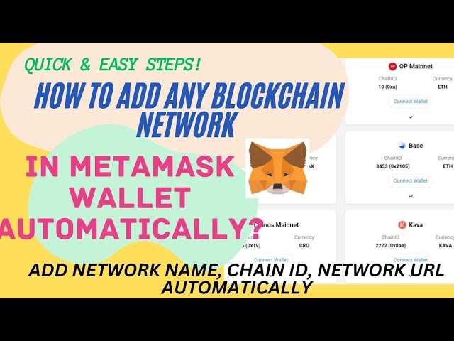 Adding a Network to Metamask: Step-by-Step Guide
