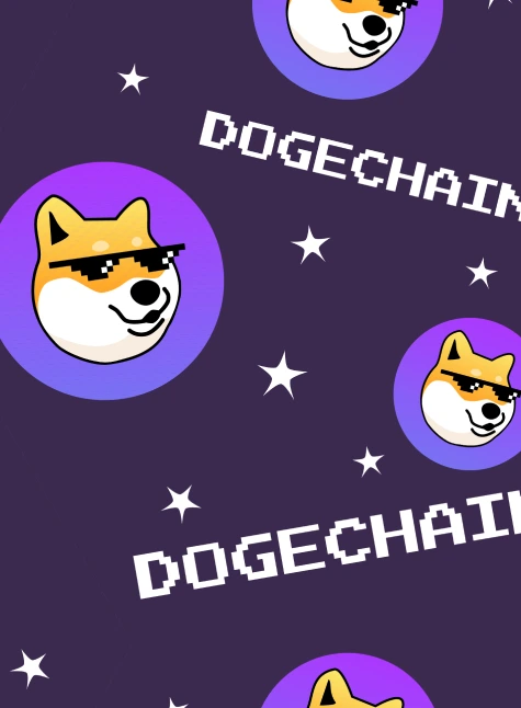A detailed guide on how to set up and use Metamask for Dogecoin transactions