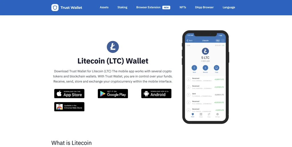 Step 5: Fill in the Litecoin Network Details