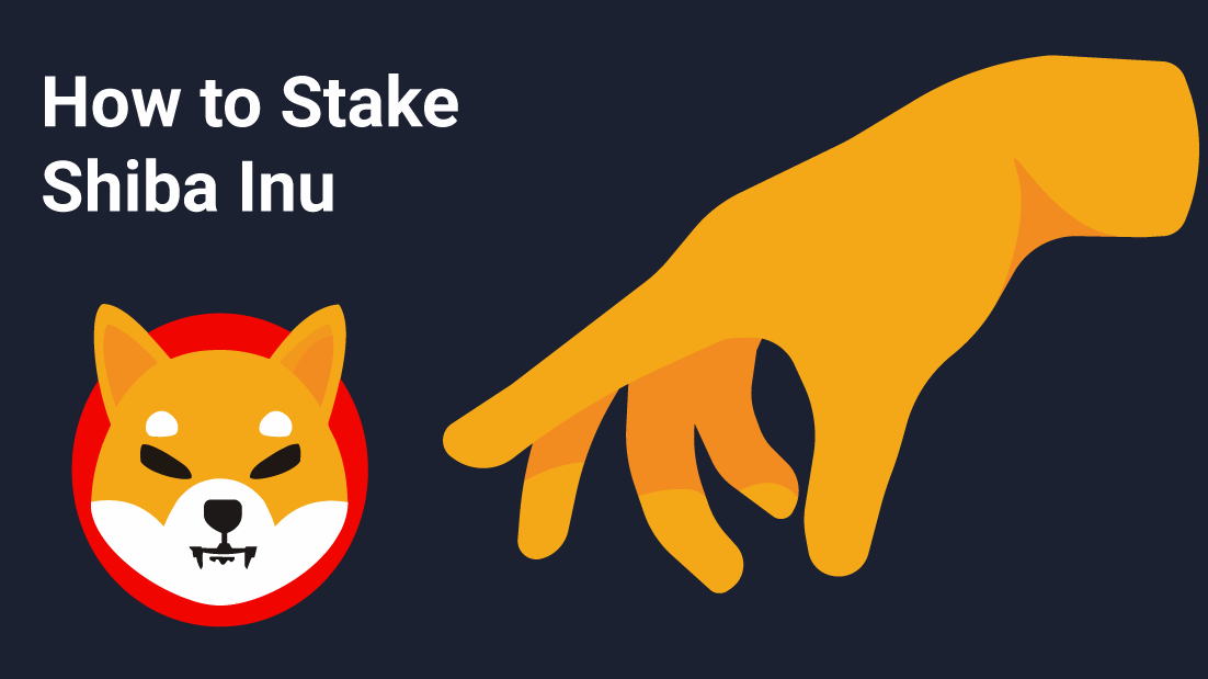 Getting Started with Shiba Inu Metamask: Step-by-Step Instructions