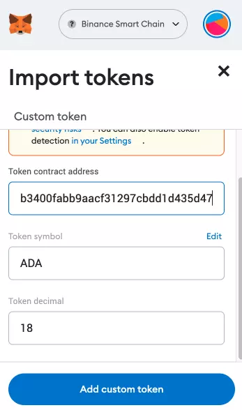 Accessing Cardano with Metamask