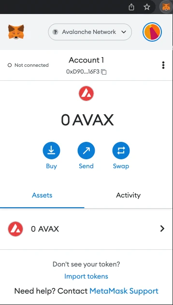 Why Add AVAX Token to Metamask?