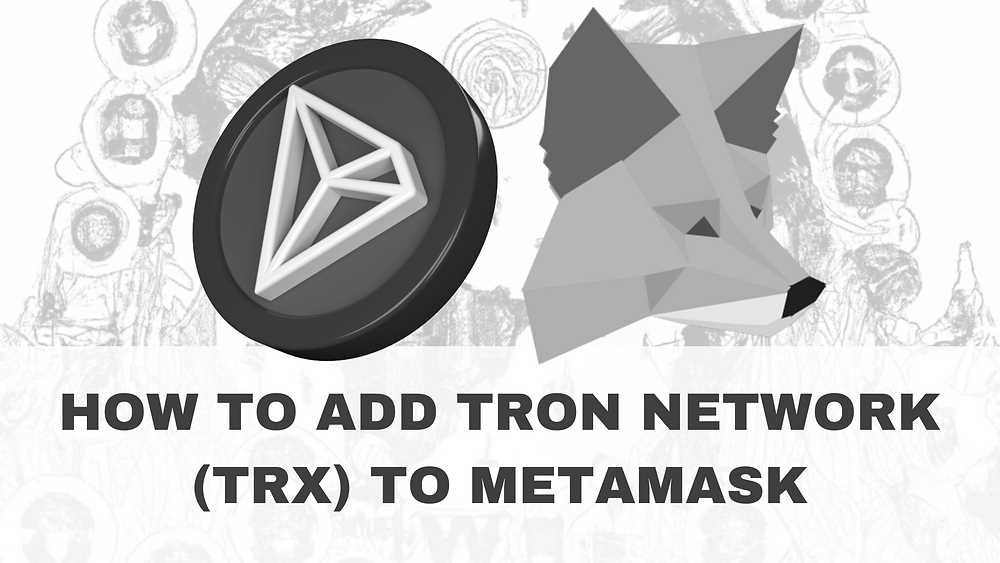 Step 2: Add the Tron network to MetaMask