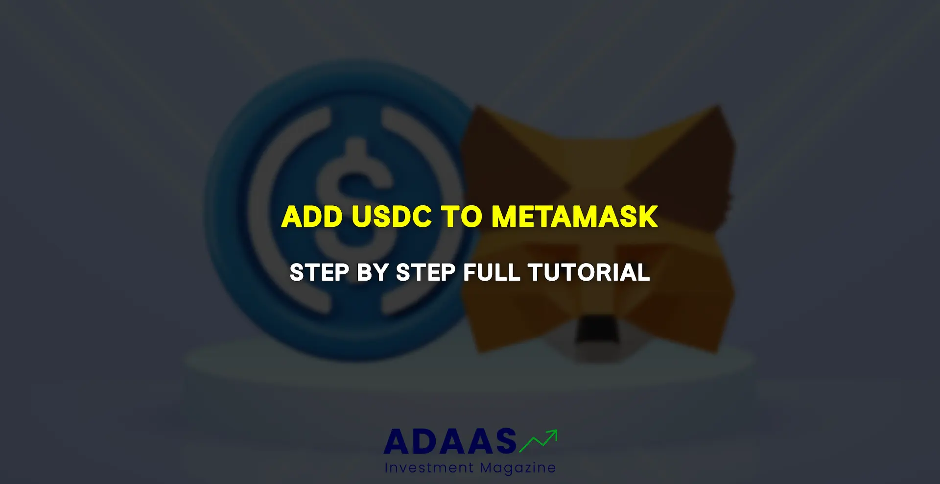 How to Use Metamask to Access and Manage USDC