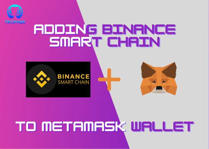 Why Connect to Metamask?
