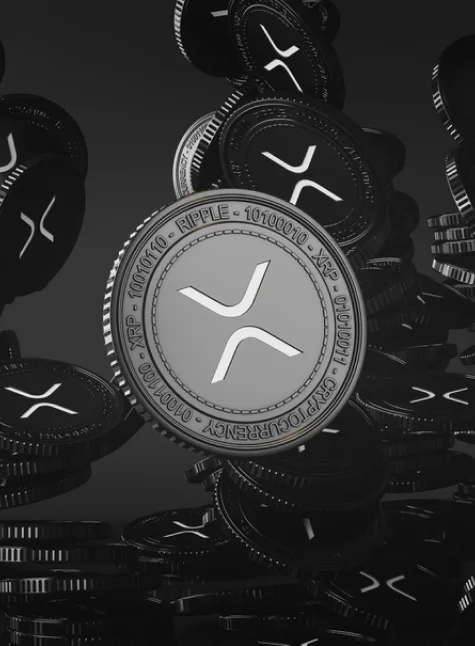 Unlocking the Potential: Add XRP to MetaMask