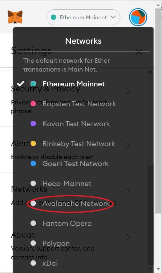 Unlocking the Potential of Avalanche Mainnet with Metamask Integration
