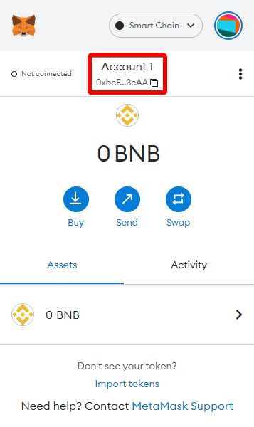 Seamlessly Connect to BNB Chain with Metamask