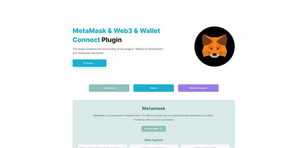 Embracing the Future with Metamask and Web3